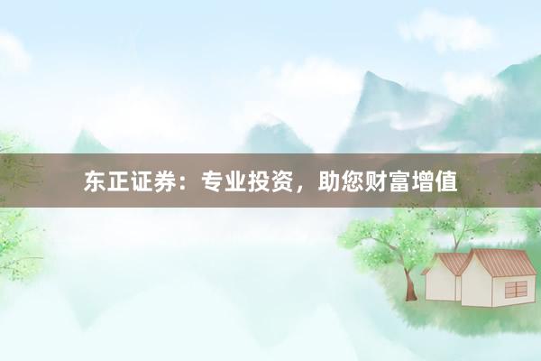 东正证券：专业投资，助您财富增值