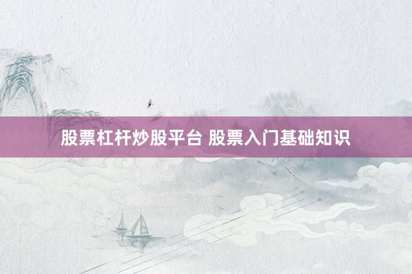 股票杠杆炒股平台 股票入门基础知识