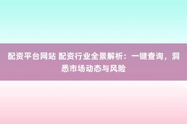 配资平台网站 配资行业全景解析：一键查询，洞悉市场动态与风险