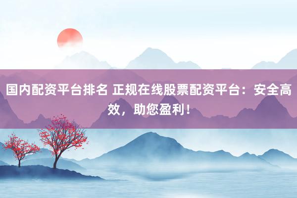 国内配资平台排名 正规在线股票配资平台：安全高效，助您盈利！