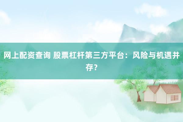 网上配资查询 股票杠杆第三方平台：风险与机遇并存？