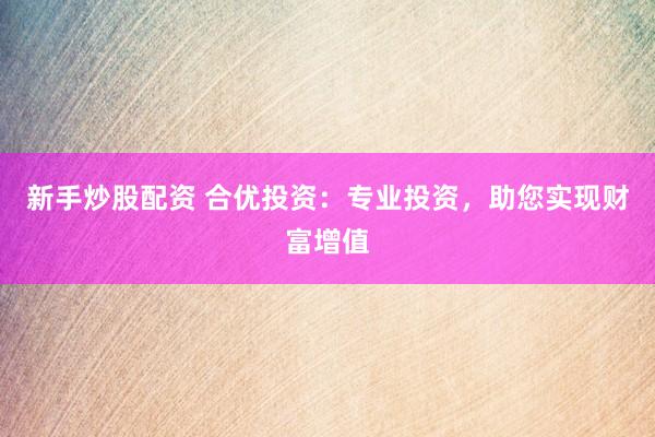 新手炒股配资 合优投资：专业投资，助您实现财富增值