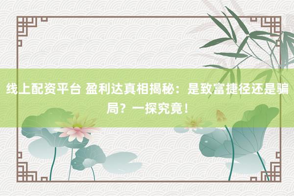 线上配资平台 盈利达真相揭秘：是致富捷径还是骗局？一探究竟！