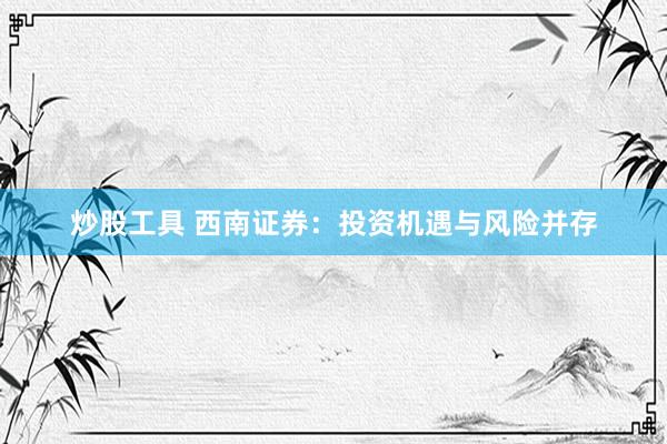 炒股工具 西南证券：投资机遇与风险并存