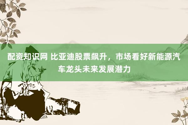 配资知识网 比亚迪股票飙升，市场看好新能源汽车龙头未来发展潜力