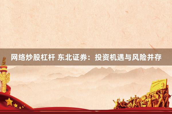 网络炒股杠杆 东北证券：投资机遇与风险并存