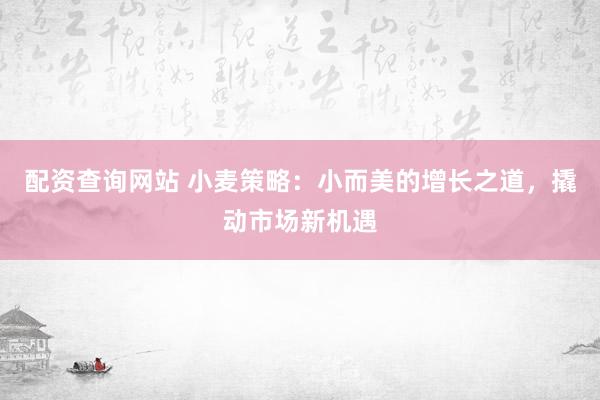 配资查询网站 小麦策略：小而美的增长之道，撬动市场新机遇