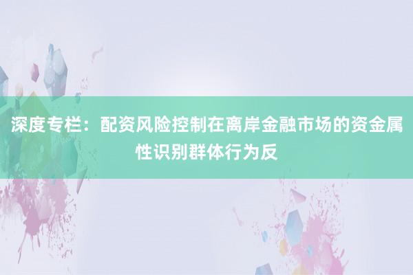 深度专栏:配资风险控制在离岸金融市场的资金属性识别群体行为反