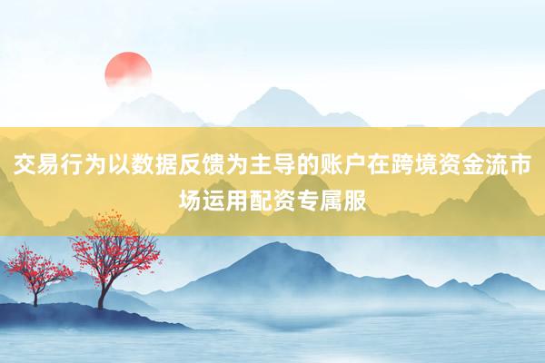 交易行为以数据反馈为主导的账户在跨境资金流市场运用配资专属服