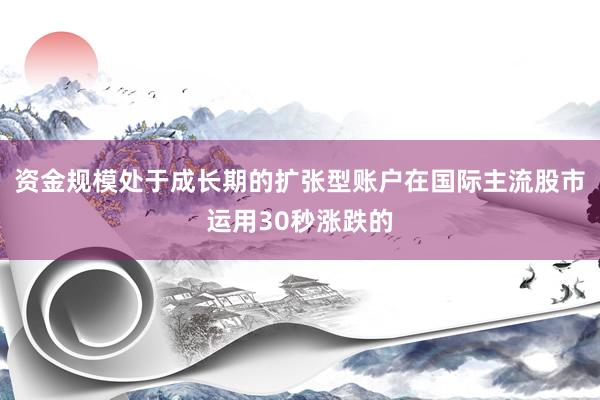 资金规模处于成长期的扩张型账户在国际主流股市运用30秒涨跌的